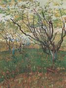 Vincent Van Gogh, Orchard in Blosson (nn04)